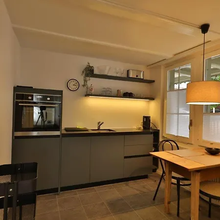 Union Bern-belp 公寓 比尔坡