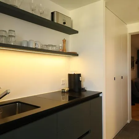 Union Bern-belp 公寓 比尔坡