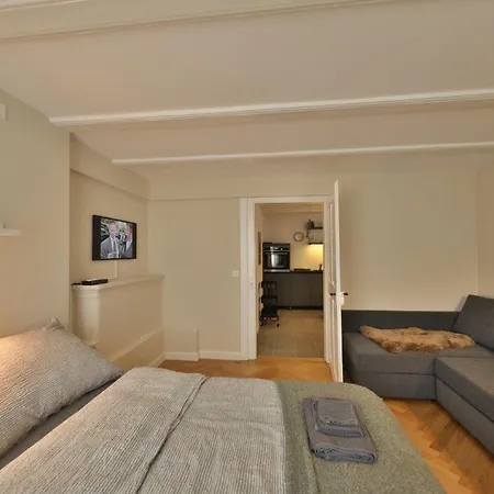 公寓 Union Bern-belp