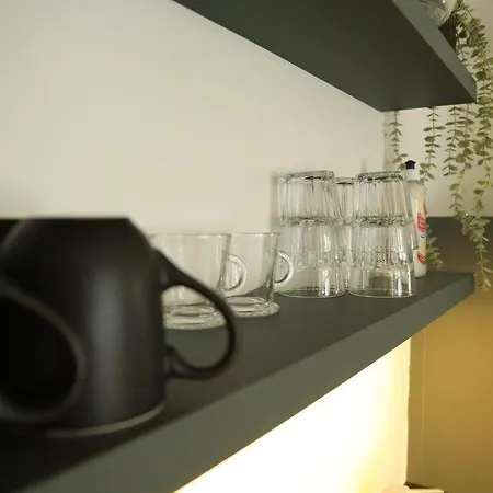 Union Bern-belp 公寓 *