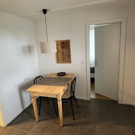 公寓 Union Bern-belp 比尔坡