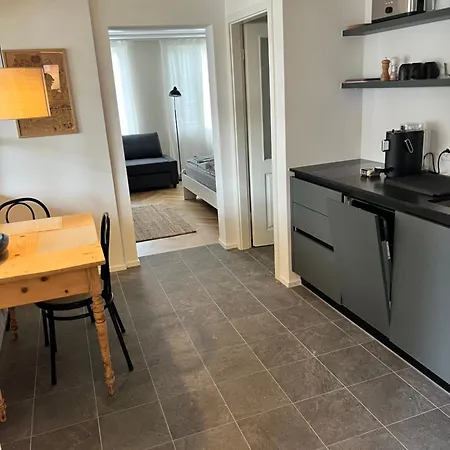 公寓 Union Bern-belp *